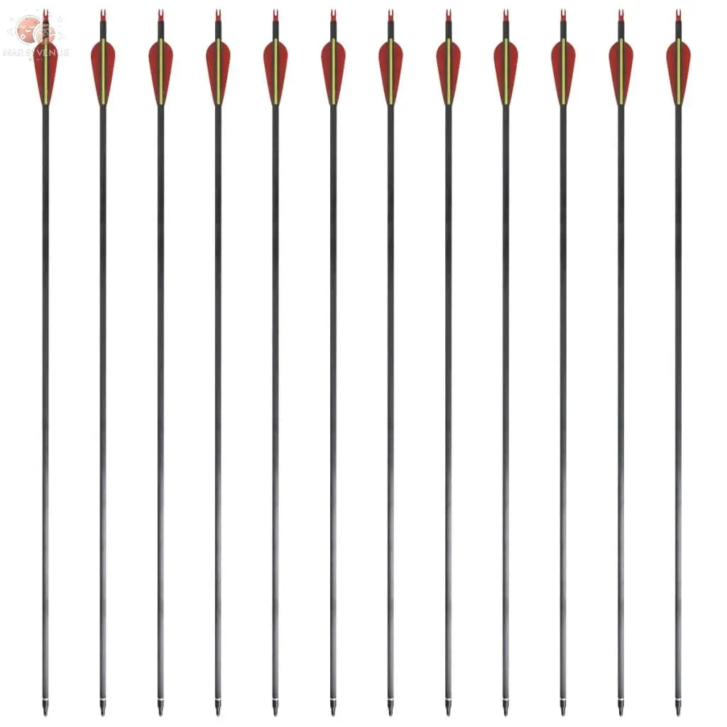 Flèche D'arc Recourbé Standard 12 Pcs 30&quot; 0,76 Cm Carbone