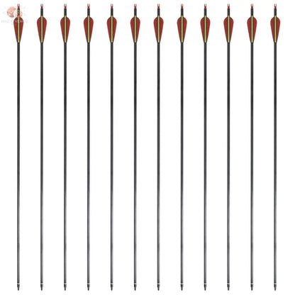 Flèche D'arc Recourbé Standard 12 Pcs 30&quot; 0,76 Cm Carbone